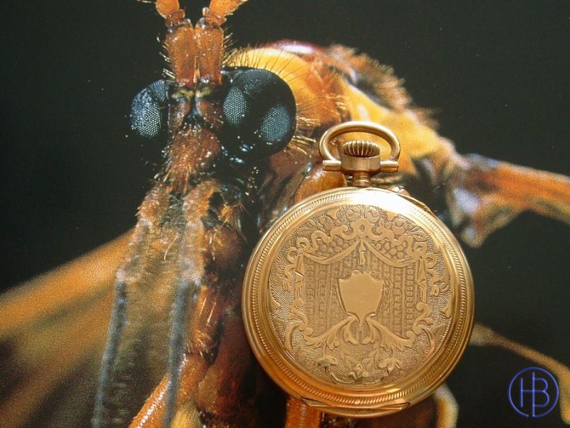 Association ouvrière d'horlogerie -Cheuvrier- Feuvri13