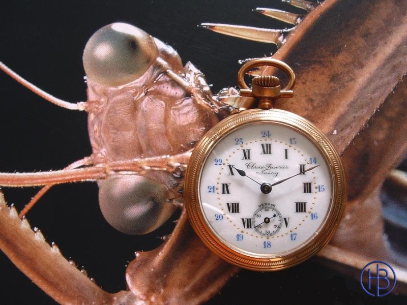 Association ouvrière d'horlogerie -Cheuvrier- Feuvri10_800x600