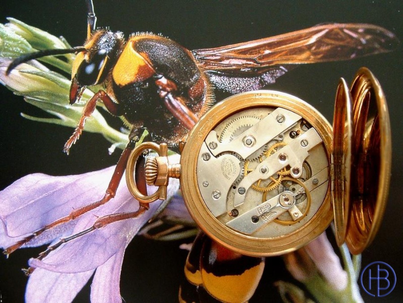 Association ouvrière d'horlogerie -Cheuvrier- Feuvri12_800x600